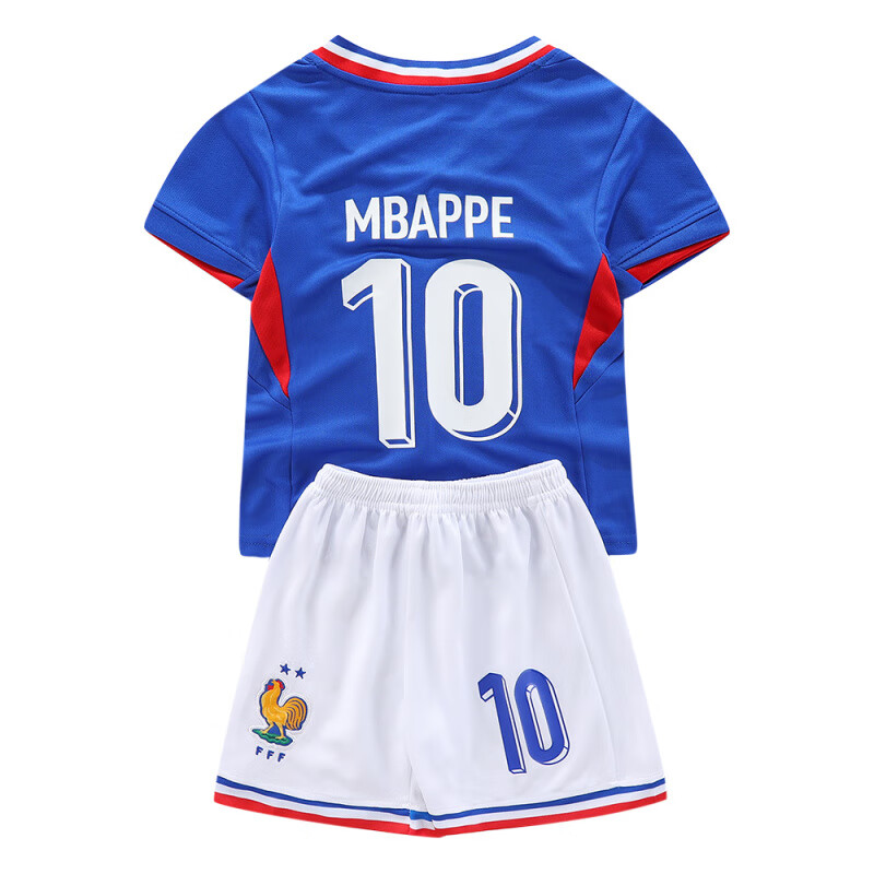 法国队欧洲杯名单_(法国队欧洲杯名单公布)  第1张