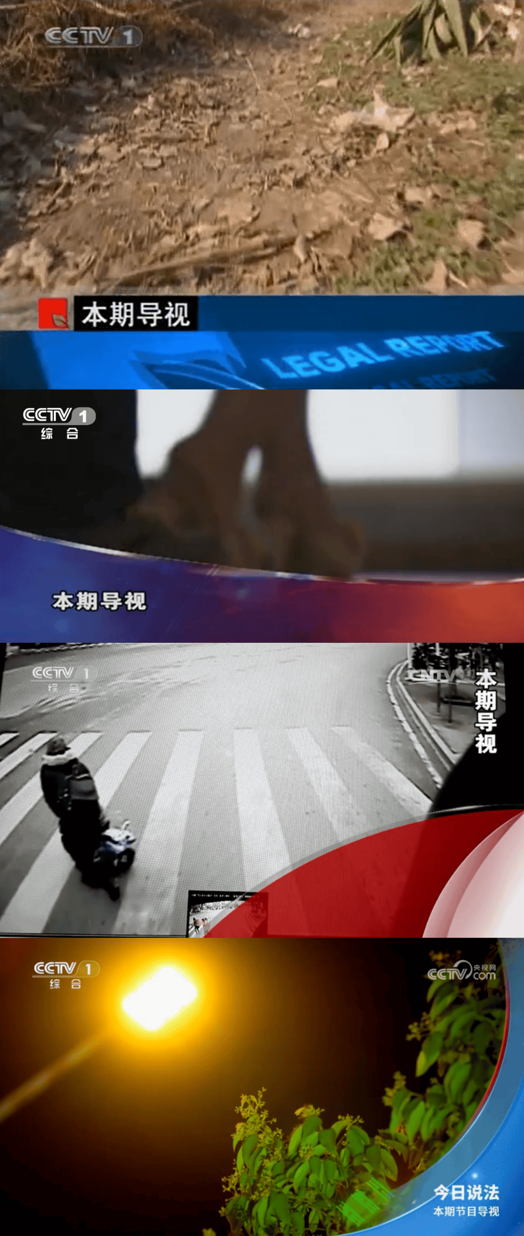 今日说法最新一期_(今日说法最新一期内容)  第1张