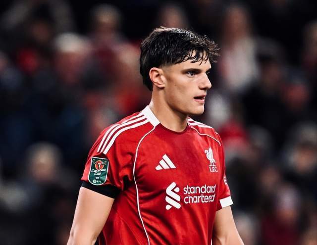 关于利物浦欧冠名单球队新前锋伊萨克领衔的信息  第2张