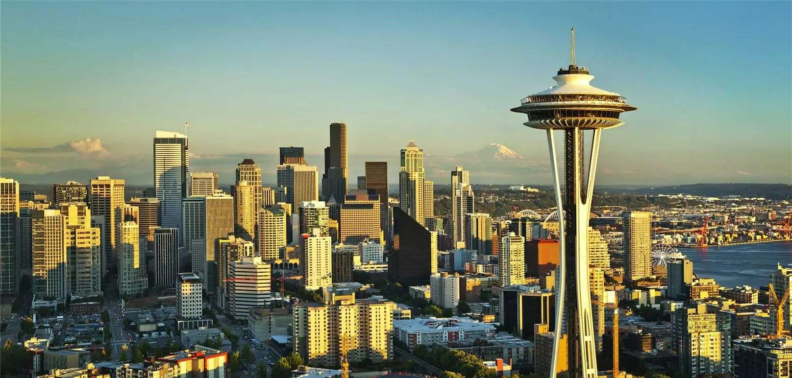 德下萨克联：维丹VS胡苏美尔的简单介绍