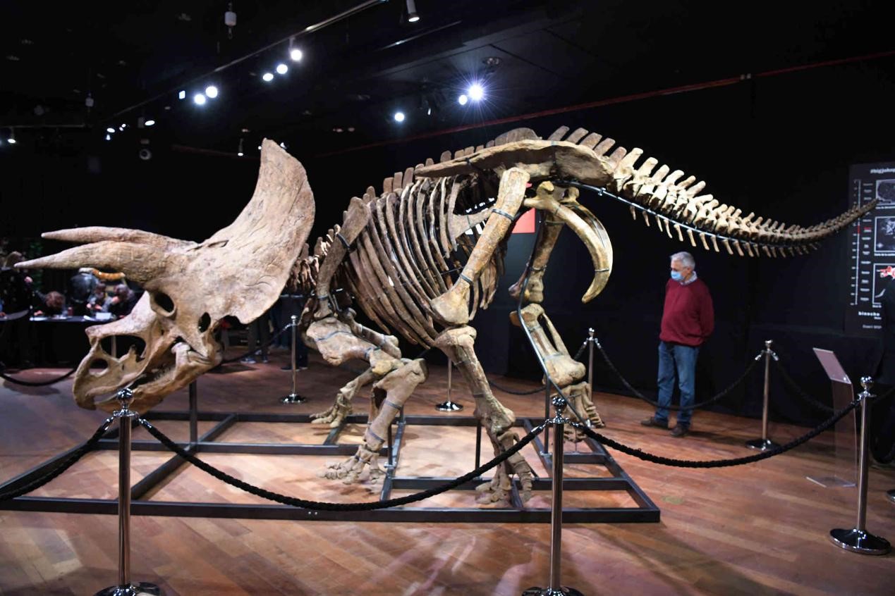 NCAA:洛约拉马利蒙特大学VS佛罗里达大西洋大学的简单介绍  第2张