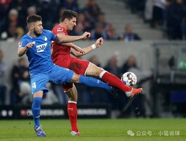 德甲女:霍芬海姆女足VS拜仁女足 第2张 德甲女:霍芬海姆女足VS拜仁女足 第2张