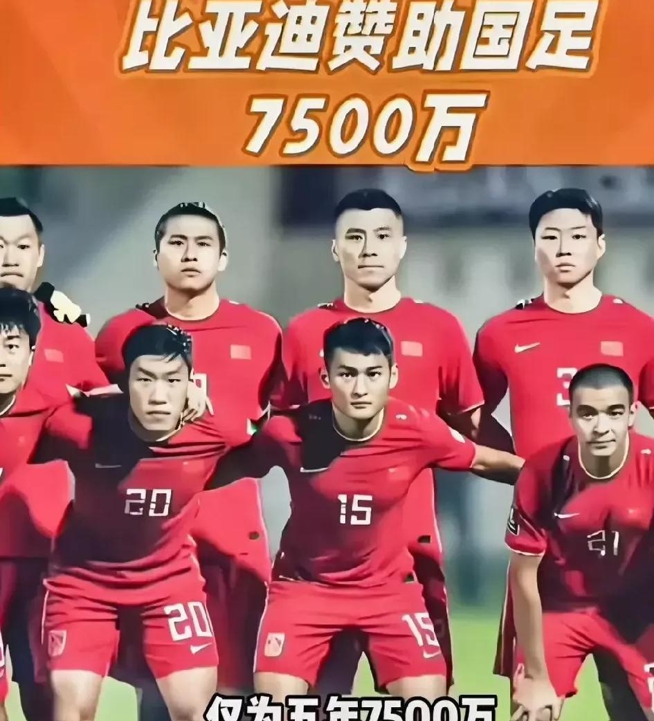 包含比亚迪成国足赞助商与足协达成协议的词条 第1张 包含比亚迪成国足赞助商与足协达成协议的词条 第1张