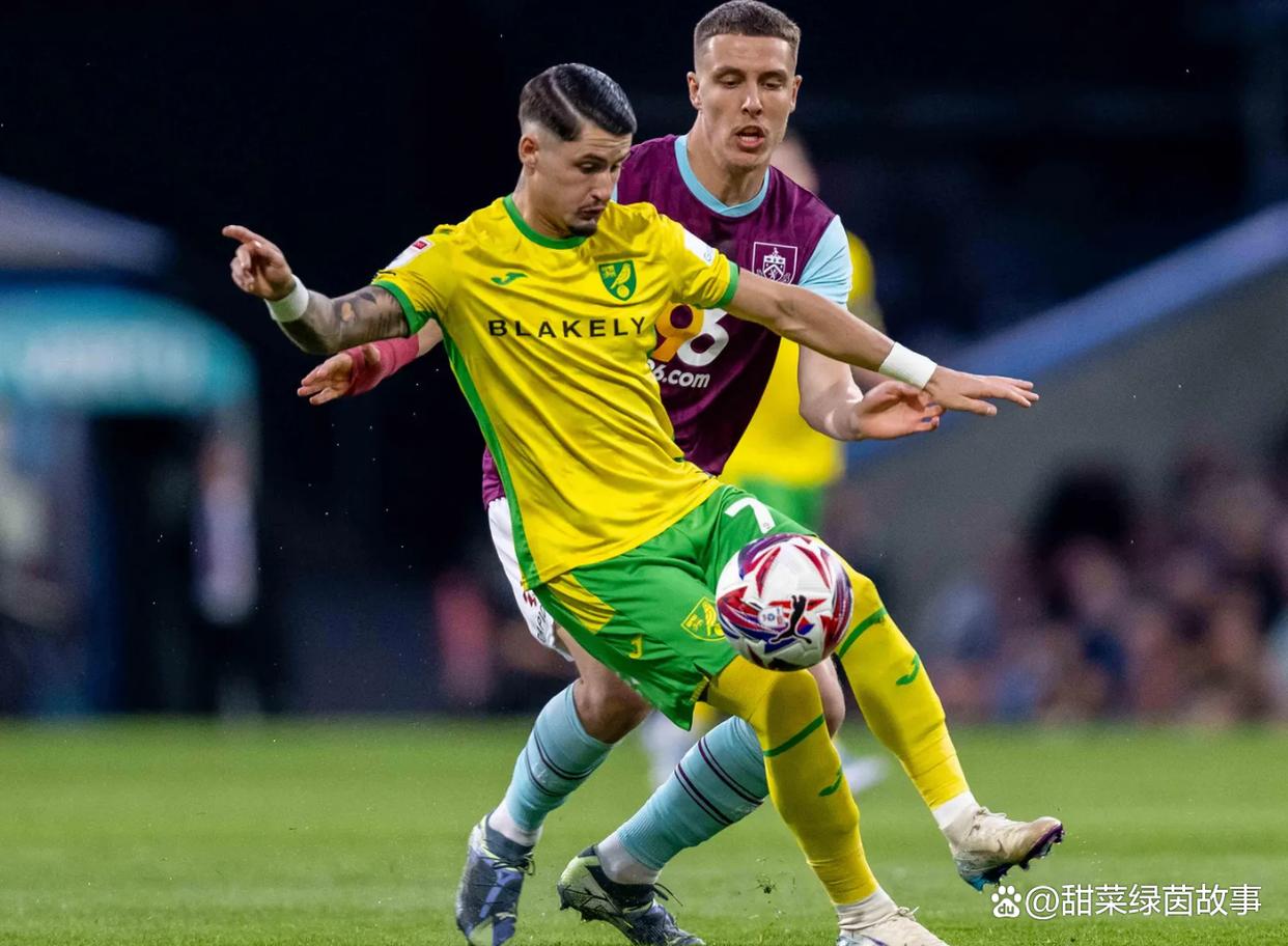 英冠米德尔斯堡vs斯旺西前瞻分析新赛季首轮双方寻求首胜的简单介绍  第2张