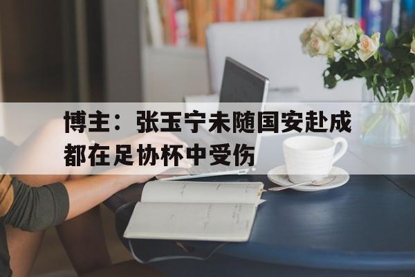 博主:张玉宁未随国安赴成都在足协杯中受伤的简单介绍 第1张 博主:张玉宁未随国安赴成都在足协杯中受伤的简单介绍 第1张