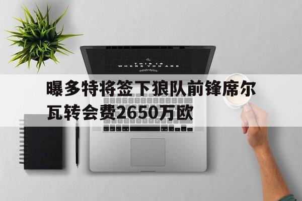 关于曝多特将签下狼队前锋席尔瓦转会费2650万欧的信息  第1张