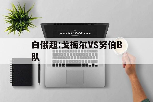 白俄超:戈梅尔VS努伯B队的简单介绍  第1张